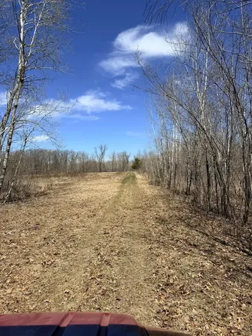 Xxx Rice Road Brook Park MN 55007