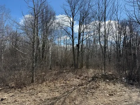 41273 Swede Alley Hinckley MN 55037