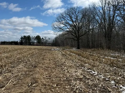 41273 Swede Alley Hinckley MN 55037