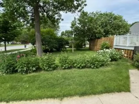 108 S 7th Street Olivia MN 56277