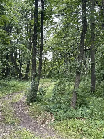 24325 180th Street Paynesville MN 56362