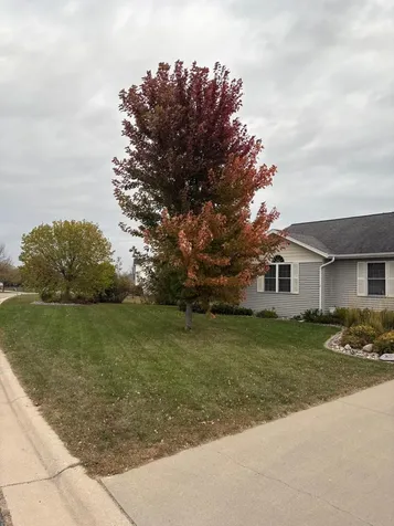 2317 Hillcrest Lane Hawley MN 56549