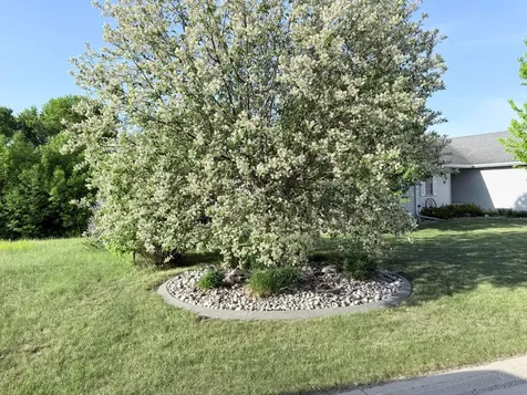 2317 Hillcrest Lane Hawley MN 56549