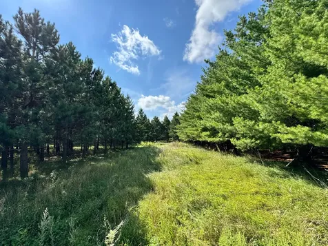 49928 County Highway 54 New York Mills MN 56567