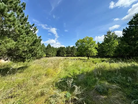 49928 County Highway 54 New York Mills MN 56567
