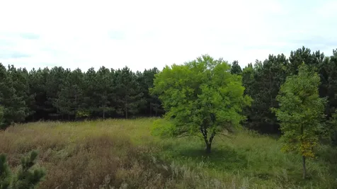 49928 County Highway 54 New York Mills MN 56567
