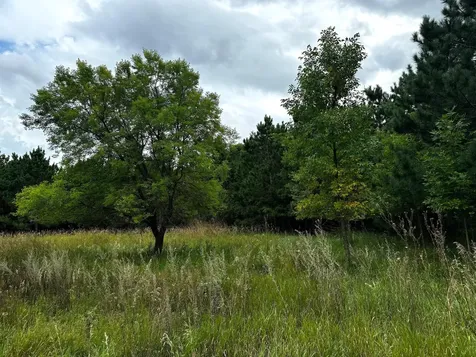 49928 County Highway 54 New York Mills MN 56567