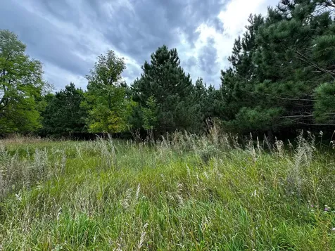 49928 County Highway 54 New York Mills MN 56567