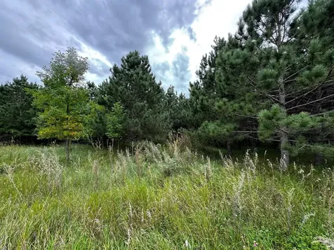 49928 County Highway 54 New York Mills MN 56567