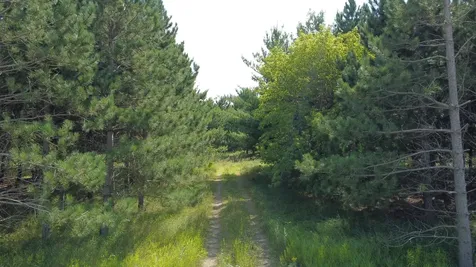 49928 County Highway 54 New York Mills MN 56567