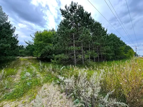 49928 County Highway 54 New York Mills MN 56567
