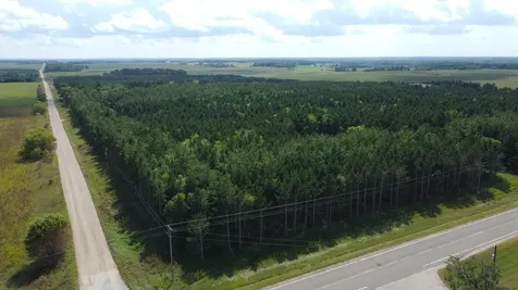 49928 County Highway 54 New York Mills MN 56567