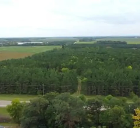 49936 County Highway 54 New York Mills MN 56567