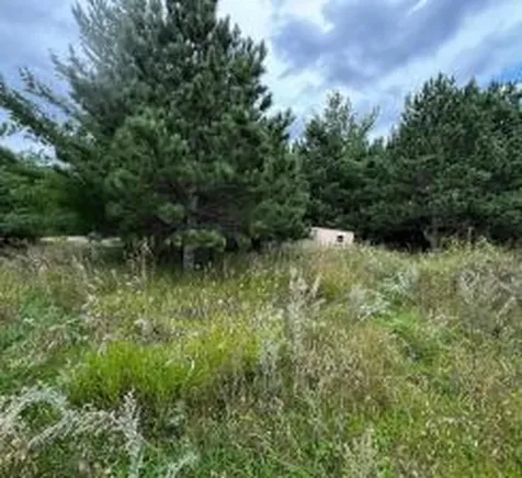 49936 County Highway 54 New York Mills MN 56567
