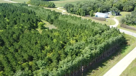 49936 County Highway 54 New York Mills MN 56567