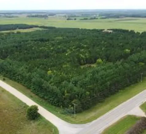 49936 County Highway 54 New York Mills MN 56567