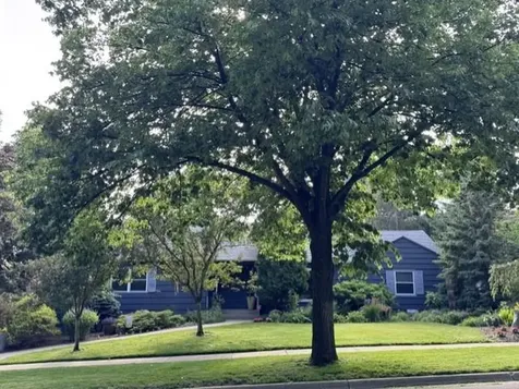 1131 Davern Street Saint Paul MN 55116