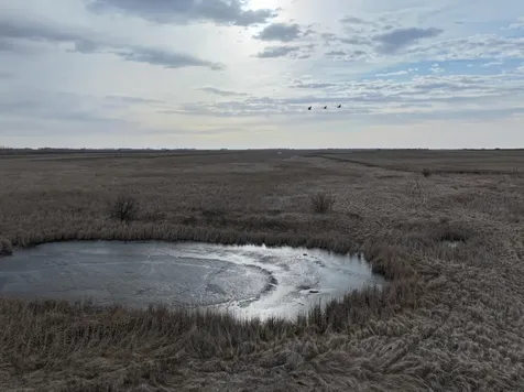 Tbd County Road 11 Litchville ND 58461