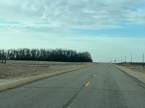 Tbd County Road 11 Litchville ND 58461