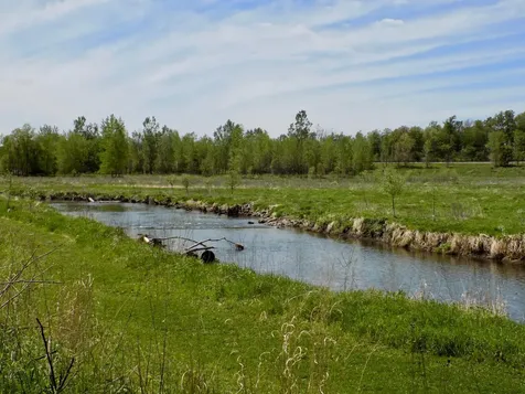 15 2nd Avenue SW Oronoco MN 55960