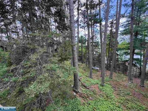 3069 Black Bay Road Cook MN 55723
