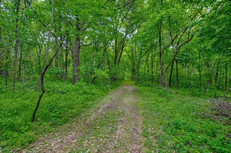 Tbd Grey Cloud Trail S Cottage Grove MN 55016