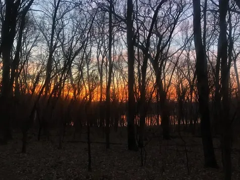 Tbd Grey Cloud Trail S Cottage Grove MN 55016