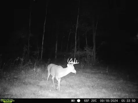 Tbd Greenwood Brainerd MN 56401