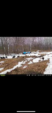 Tbd Greenwood Brainerd MN 56401