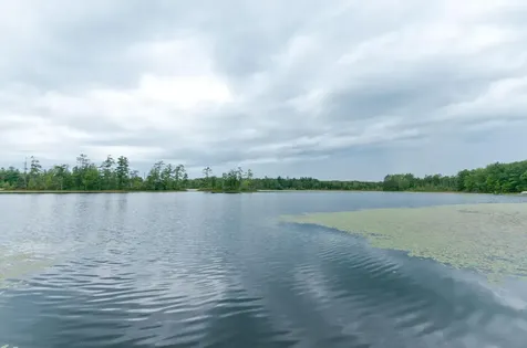 W15949 Bass Lake Road Weyerhaeuser WI 54895