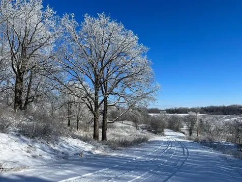 585 W. Lake Street Vergas MN 56587