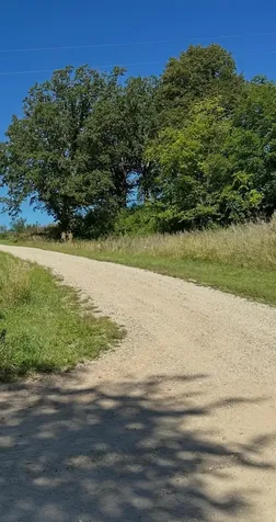 585 W. Lake Street Vergas MN 56587