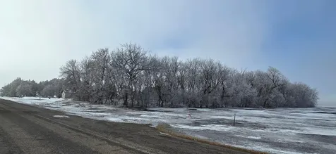157 70th Street N Glyndon MN 56547