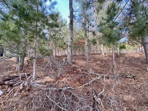 15754 S Bond Leader Lake Road Gordon WI 54838