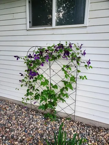 23382 60th Avenue S Hawley MN 56549