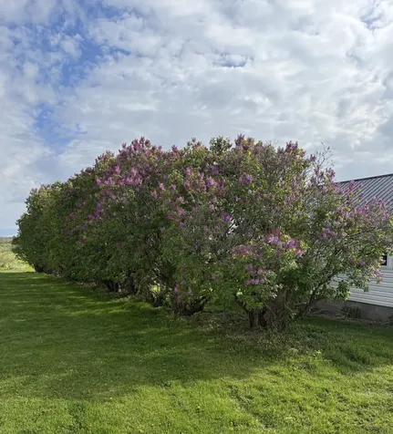 W6373 570th Avenue Ellsworth WI 54011