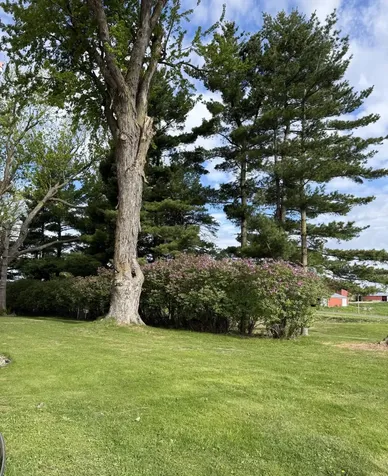 W6373 570th Avenue Ellsworth WI 54011