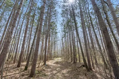9382 County Road 8 Brainerd MN 56401