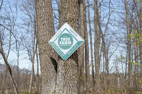 9382 County Road 8 Brainerd MN 56401