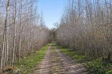 9382 County Road 8 Brainerd MN 56401