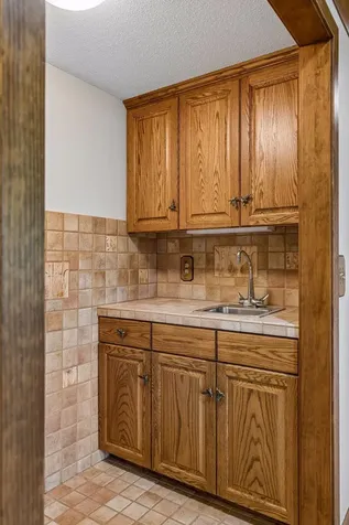 1 Snowy Owl Lane North Oaks MN 55127
