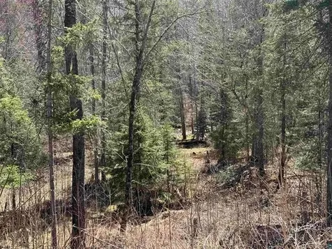 77410 Kaukamo Road Iron River WI 54847