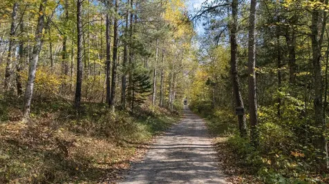 24392 S Long Lake Trail Bigfork MN 56628