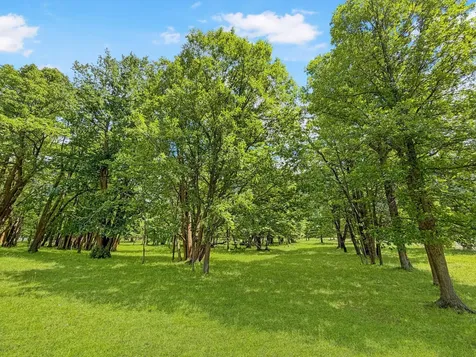 24301 Obrien Creek Road NE Hines MN 56647