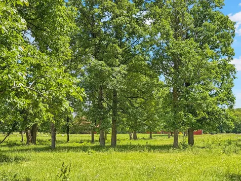 24301 Obrien Creek Road NE Hines MN 56647
