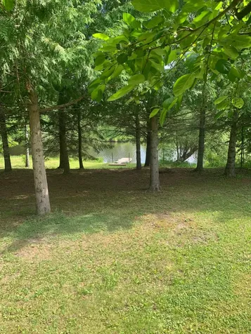 3630 County Road 142 International Falls MN 56649