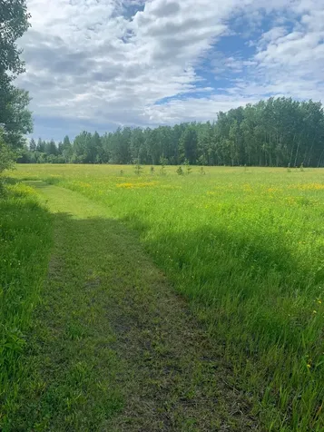 3630 County Road 142 International Falls MN 56649