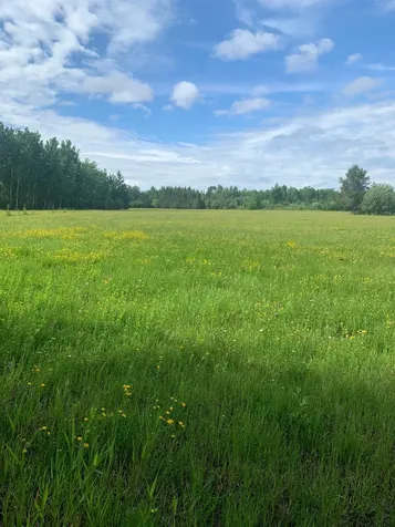 3630 County Road 142 International Falls MN 56649