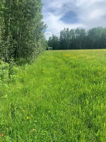 3630 County Road 142 International Falls MN 56649