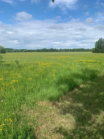 3630 County Road 142 International Falls MN 56649